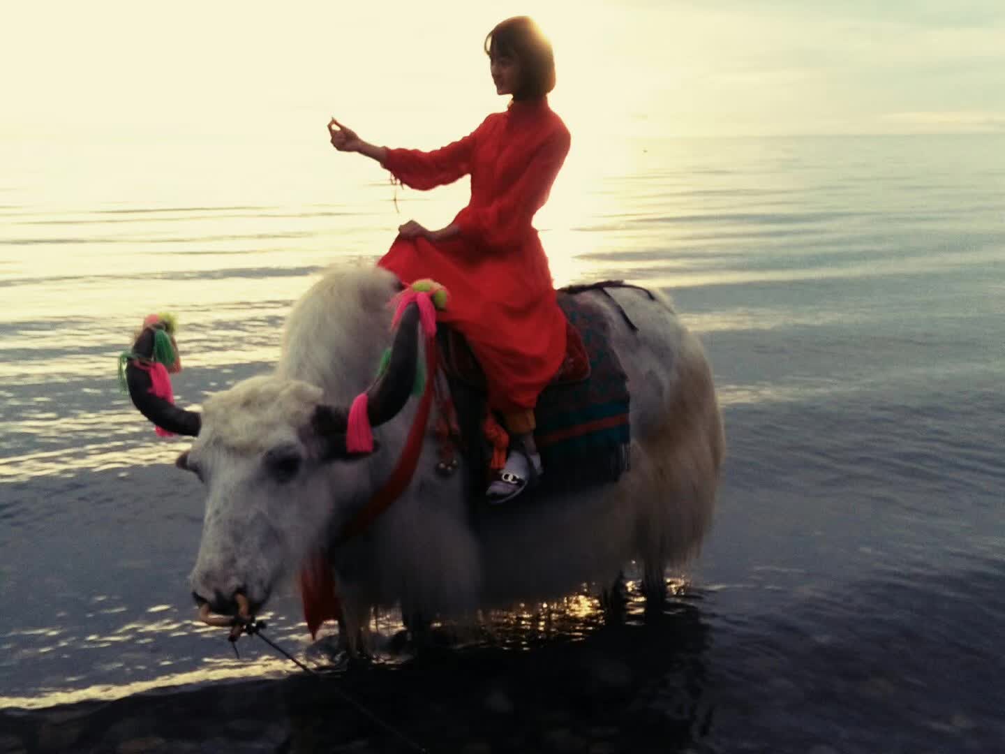 Georgia is riding on a cow